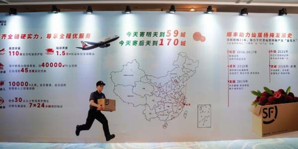 讓楊梅從枝頭更快抵達舌尖 | 順豐全面升級仙居楊梅專屬物流
