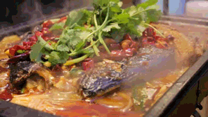 微信图片_20190425110012.gif