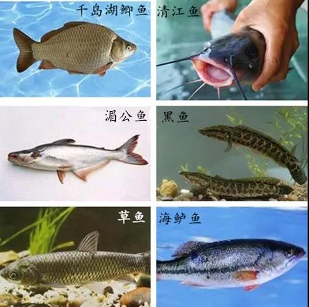 微信图片_20190425110912.jpg