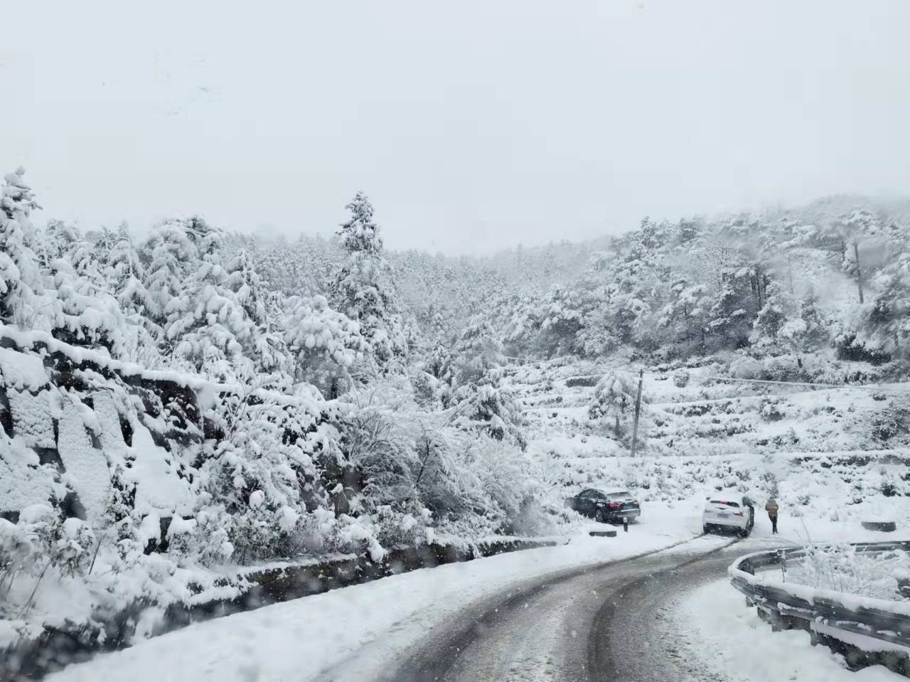 1706113675694_65b13a8bbd601c3182421e30 (1).jpeg