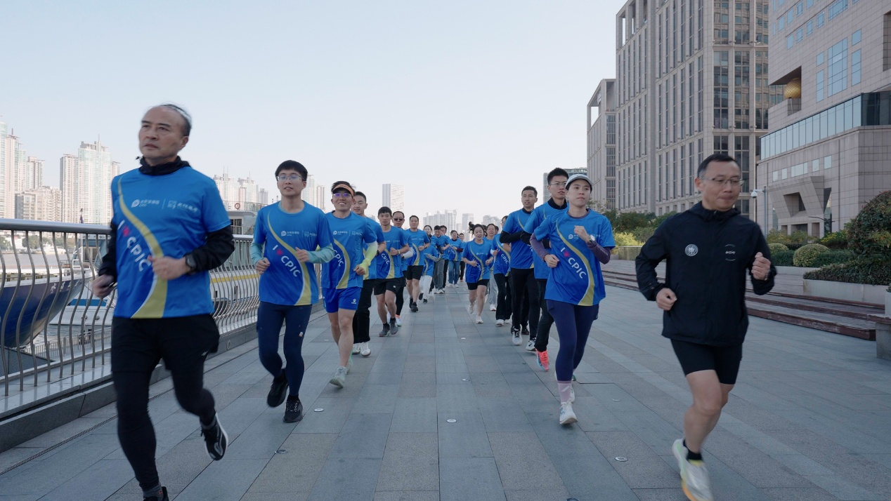 DV DSVDS.png