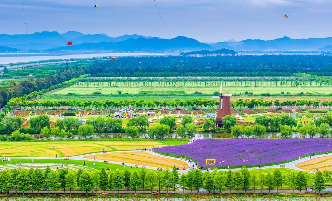 2000085476764856326_1280px - 副本.jpg