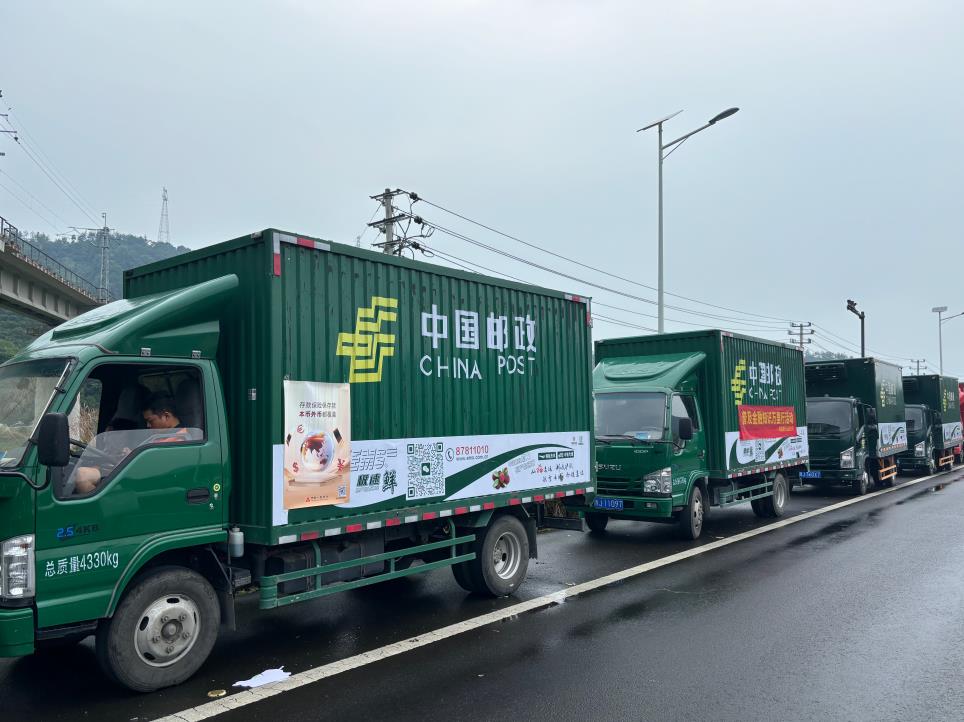360截图20260615115337823.jpg